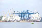 APM trong dự án cảng Việt Nam thứ hai