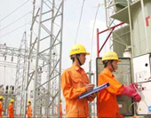 SP-PSA Port động thổ xây khu cảng tại Việt Nam