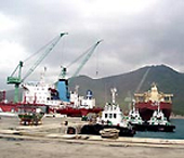 Đại gia vận tải biển lên sàn Hà Nội