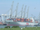 OOCL tăng phí chứng từ