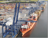 Charleston có thêm một tuyến nữa của MSC