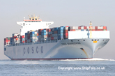 COSCO áp đặt phí tái vận chuyển container tại châu Á