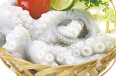 Xuất khẩu mực, bạch tuộc sang Nga sẽ tăng