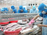 Việt Nam mang cá tra sang Nam Phi chào hàng