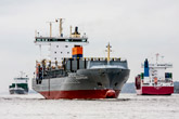 CSCL tham gia thị trường trung chuyển Biển Baltic với Cosco và Yang Ming