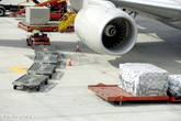 IATA: Nhu cầu hàng hóa tăng trong tháng 4