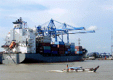 Cảng Cát Lái đang quá tải do ùn ứ container