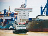 Vận tải biển Việt Nam: Không coi trọng container?