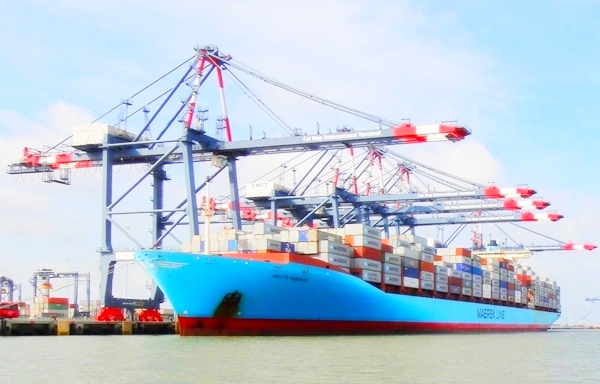  Thương mại Việt Nam - Singapore tăng 52,4%