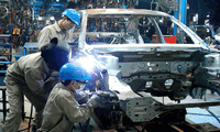 Nhà đầu tư trong nước "mở cửa" ra thế giới