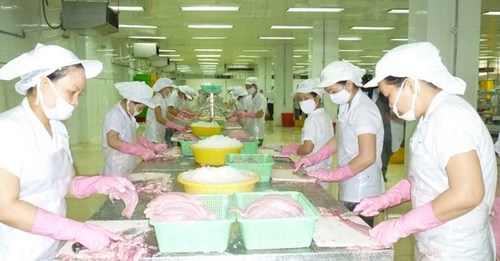  Thị trường Trung Quốc: Triển vọng cho xuất khẩu cá tra