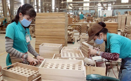 Ngoài việc giảm 20% giá cước, hãng hàng không cũng cam kết ưu tiên tải trọng để quảng bá sản phẩm vải thiều tươi tại Pháp.  Tổng công ty Hàng không Việt Nam (Vietnam Airlines) vừa có văn bản gửi Cục X