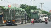 “Đau đầu” với xe quá tải tại cảng biển! 