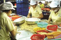  Hàng nông, thủy sản Việt Nam đã có những đối thủ cạnh tranh