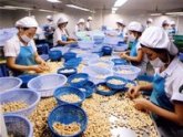 Xuất khẩu nông sản suy giảm chỉ là nhất thời 