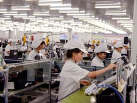 Kinh tế Việt Nam sẽ “trật đường ray phát triển" nếu chậm trễ