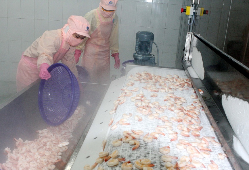 Xuất hàng vào EU, "ngán" nhất rào cản phi thuế quan