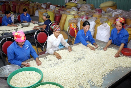 Show promotes exports to S. Korea 