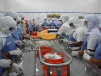 Cơ hội xuất khẩu thuỷ sản Na Uy sang Angola