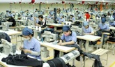 Dệt may được áp dụng quy chế cộng dồn xuất xứ khi xuất sang EU 