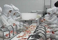  Indonesia và Na Uy hợp tác nhằm nâng cao chất lượng thủy sản