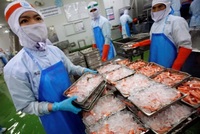 Thái Lan: Xuất khẩu tôm sụt giảm