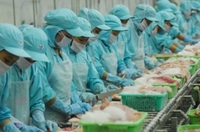 Mỹ: tăng nhập khẩu, giảm xuất khẩu thủy sản