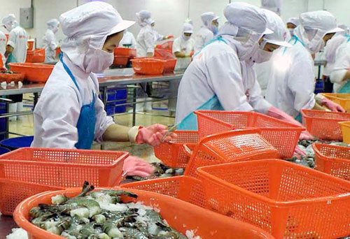 Xuất khẩu tôm sang Mỹ dự báo sẽ khả quan hơn