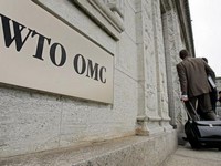 WTO tiếp tục hạ dự đoán tăng trưởng thương mại thế giới