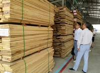  Khai trương Trung tâm phân phối gỗ nguyên liệu nhập khẩu lớn nhất Việt Nam