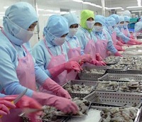 Cuba: xuất khẩu thủy sản có thể đạt 70 triệu USD trong năm nay