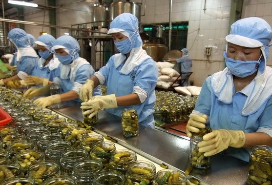 Cơ hội lớn cho nông sản Việt Nam xuất khẩu ra thế giới