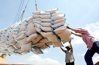 Panama mong muốn hợp tác với Việt Nam về sản xuất, tiêu thụ gạo