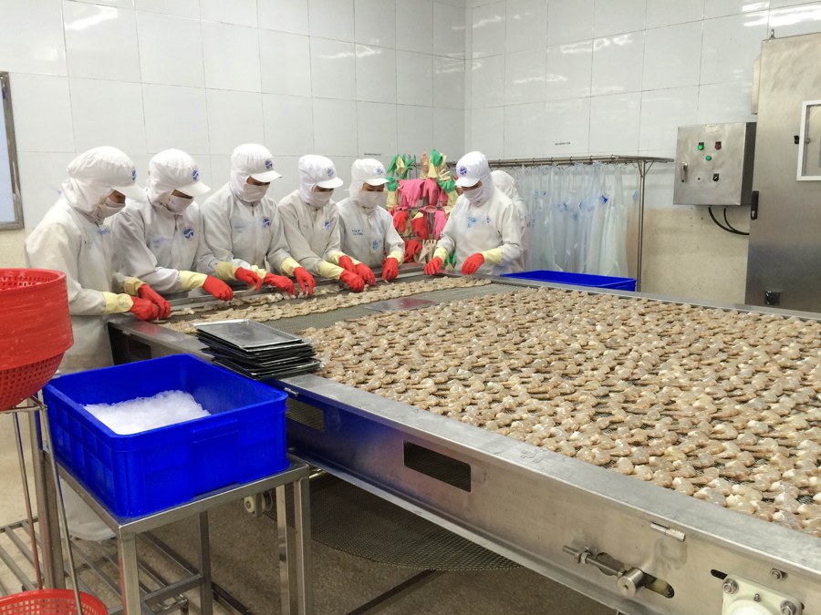  Xuất khẩu thủy sản đang mở rộng sang các nước ASEAN