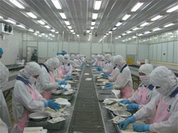  VASEP dự báo xuất khẩu thủy sản 2016 hơn 7 tỉ đô la
