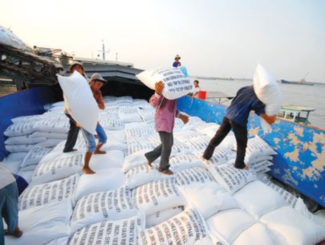  Xuất khẩu gạo cao cấp tăng giá trị dễ xây dựng thương hiệu