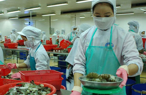 NGUY CƠ MẤT THỊ TRƯỜNG XUẤT KHẨU TÔM