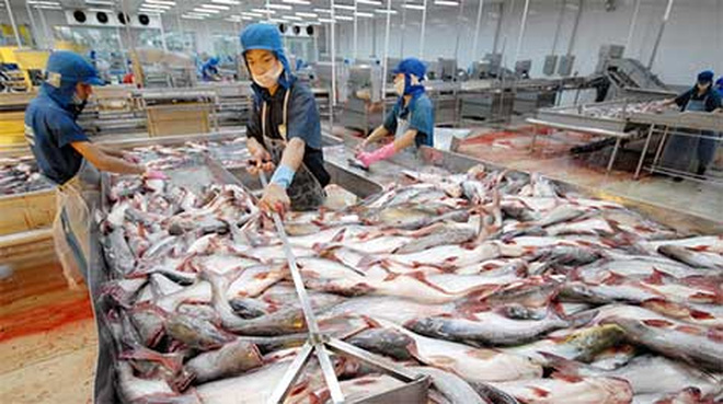 THÁI LAN LÀ THỊ TRƯỜNG XUẤT KHẨU CÁ TRA LỚN NHẤT CỦA VIỆT NAM TẠI ASEAN