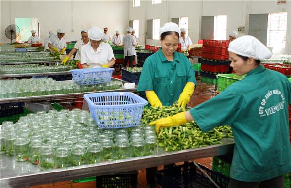 XUẤT KHẨU RAU QUẢ CÓ THỂ ĐẠT 2,5-2,6 TỶ USD