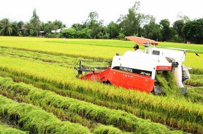 TĂNG CƯỜNG HỢP TÁC VIỆT NAM - BRAZIL TRONG LĨNH VỰC NÔNG NGHIỆP