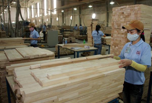 XUẤT KHẨU GỖ SẼ ĐẠT 7,3 TỶ USD?