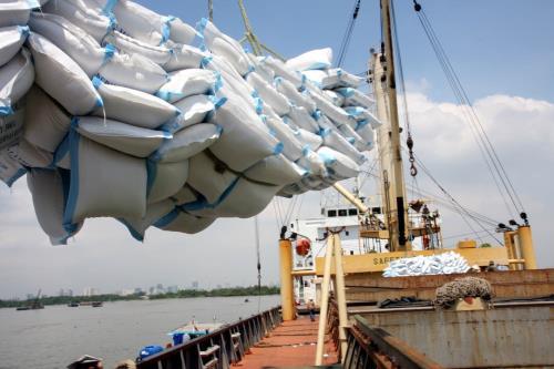 PHILIPPINES SẼ MUA THÊM HƠN 293.000 TẤN GẠO TỪ VIỆT NAM