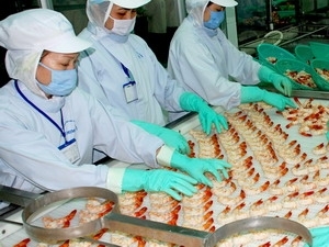 TRUNG QUỐC - THỊ TRƯỜNG TIÊU THỤ TÔM SÚ LỚN NHẤT CỦA VIỆT NAM
