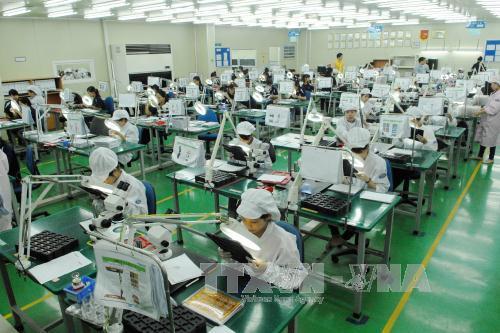 ẤN ĐỘ LÀ MỘT TRONG 10 ĐỐI TÁC THƯƠNG MẠI LỚN NHẤT CỦA VIỆT NAM