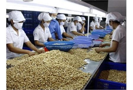 HẠT ĐIỀU VIỆT TÌM CÁCH CHINH PHỤC THỊ TRƯỜNG MỸ VÀ EU