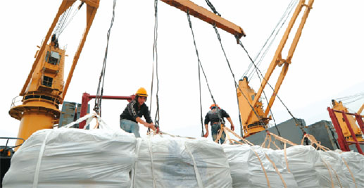 XUẤT KHẨU GẠO: BÀI HỌC QUÁ ĐẮT KHI ĐỂ MẤT CẠNH TRANH