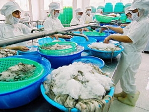 MỰC, BẠCH TUỘC VIỆT NAM XUẤT SANG HÀN QUỐC NHIỀU NHẤT