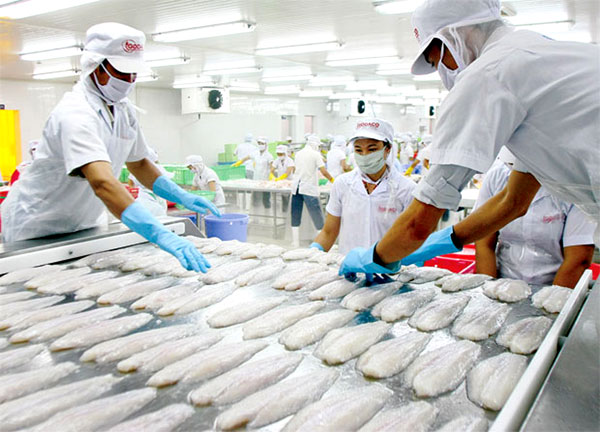 XUẤT KHẨU SANG LIÊN BANG NGA CÓ DẤU HIỆU PHỤC HỒI