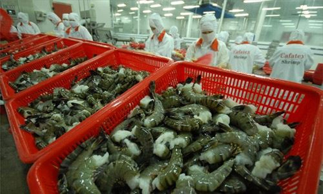 XUẤT KHẨU THỦY SẢN SANG TRUNG QUỐC TĂNG MẠNH