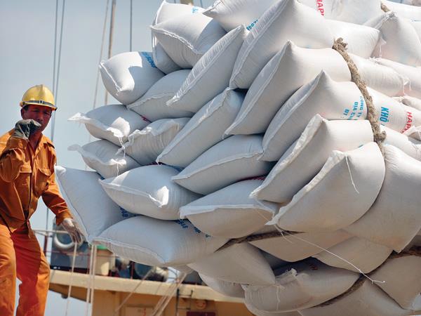 NĂM 2020: 20% LƯỢNG GẠO XUẤT KHẨU MANG THƯƠNG HIỆU “GẠO VIỆT NAM”